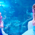 6 Reasons Why Dubai Mall Should Be On Your Bucket List
