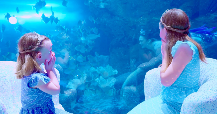 6 Reasons Why Dubai Mall Should Be On Your Bucket List